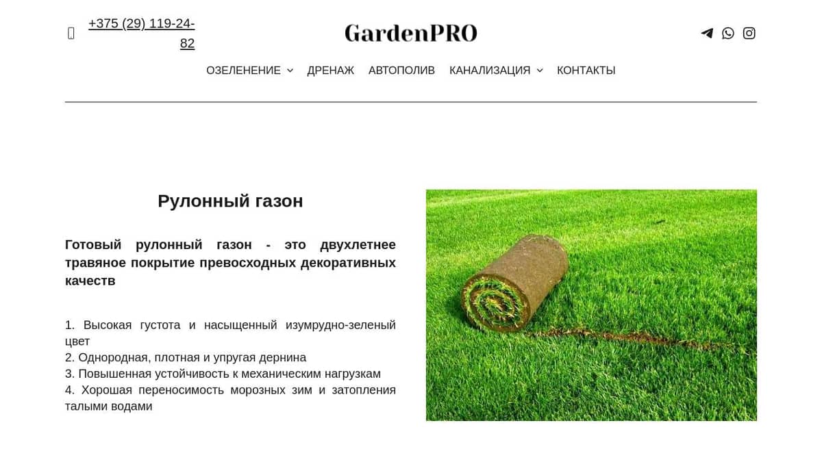 Рулонный газон. Монтаж под ключ Минск и вся Беларусь. Опыт работ более ...